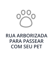 lazer